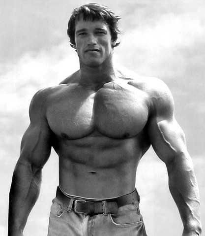 arnold schwarzenegger bodybuilder